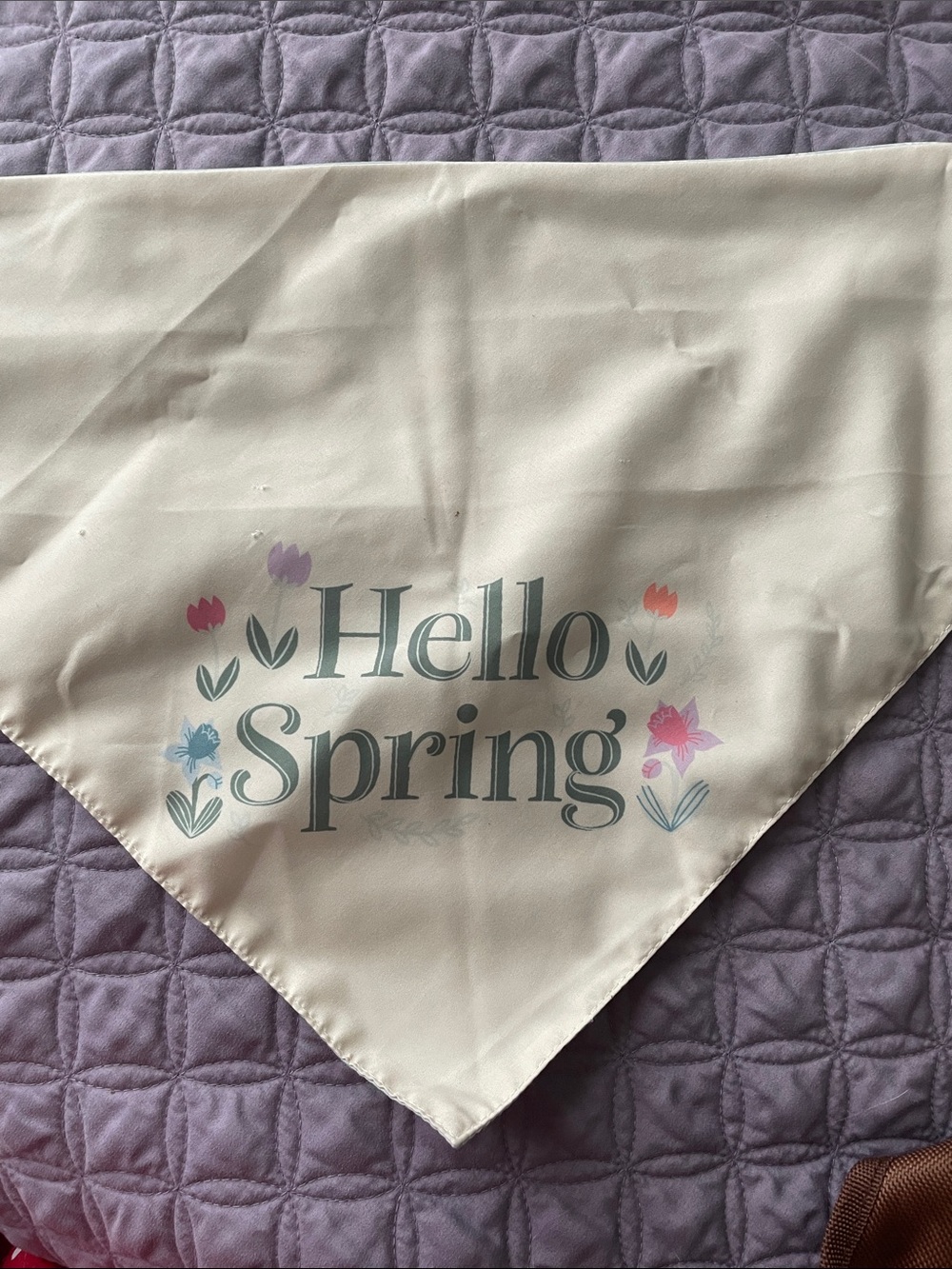 Hello Spring Reversible Bandana - Picture 2 of 3